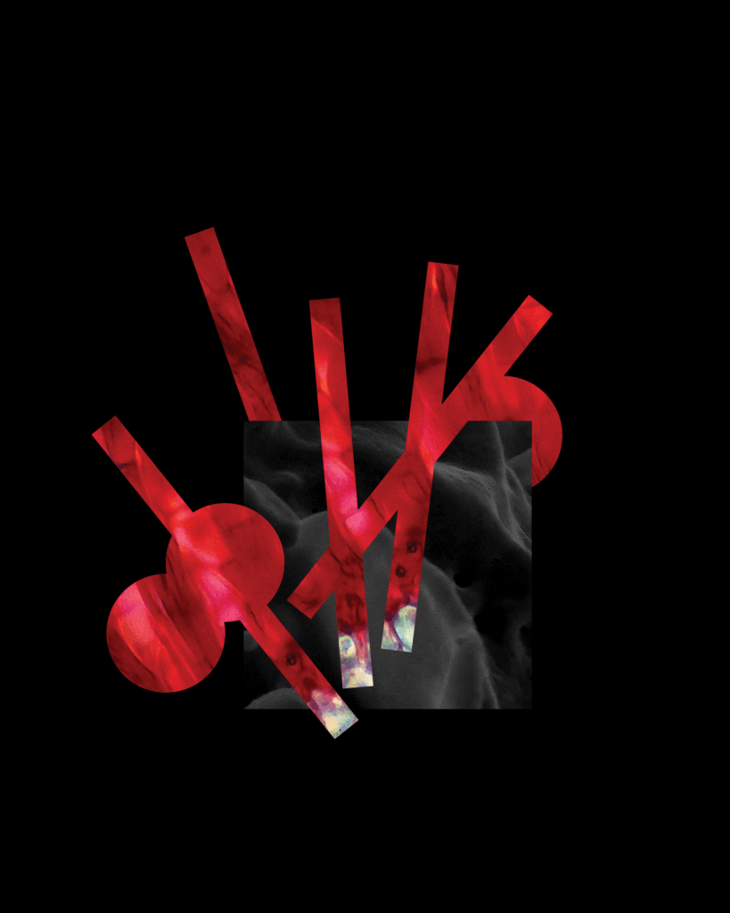 Project "New Florals"