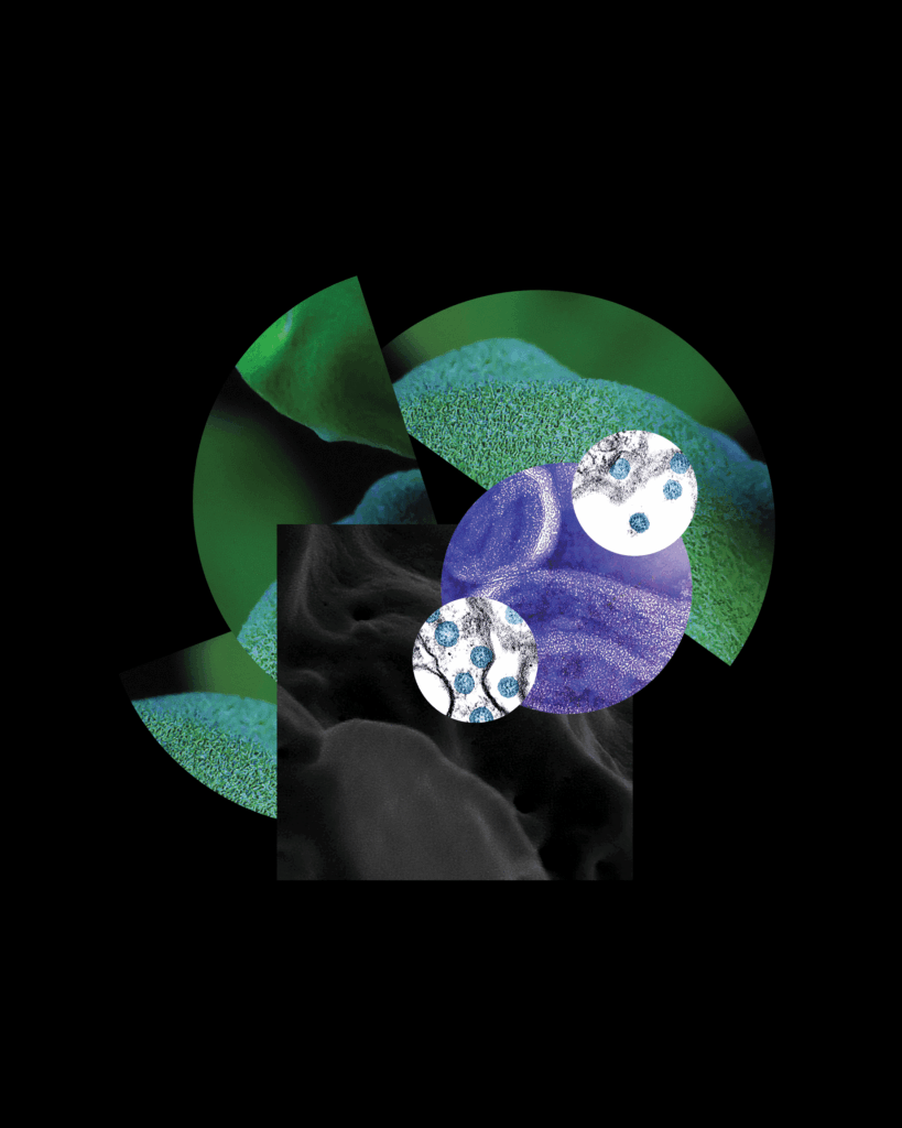 Project "New Florals"