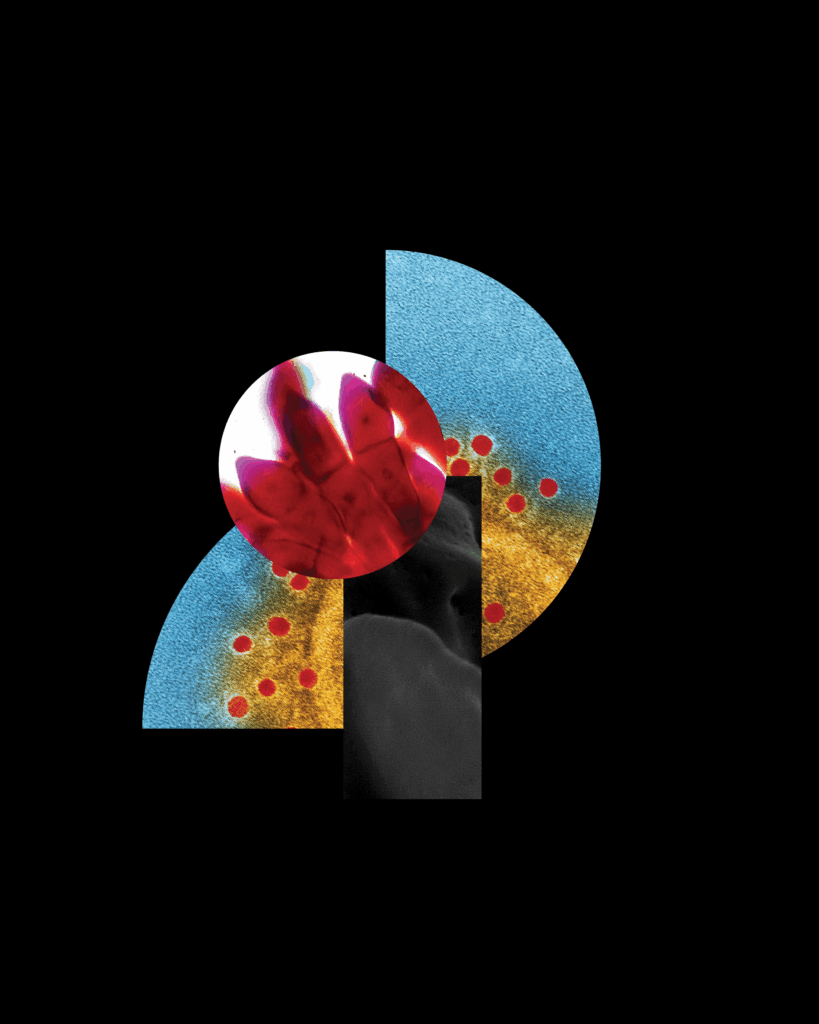 Project "New Florals"