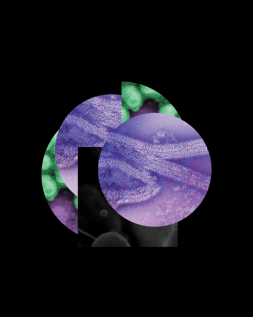 Project "New Florals"