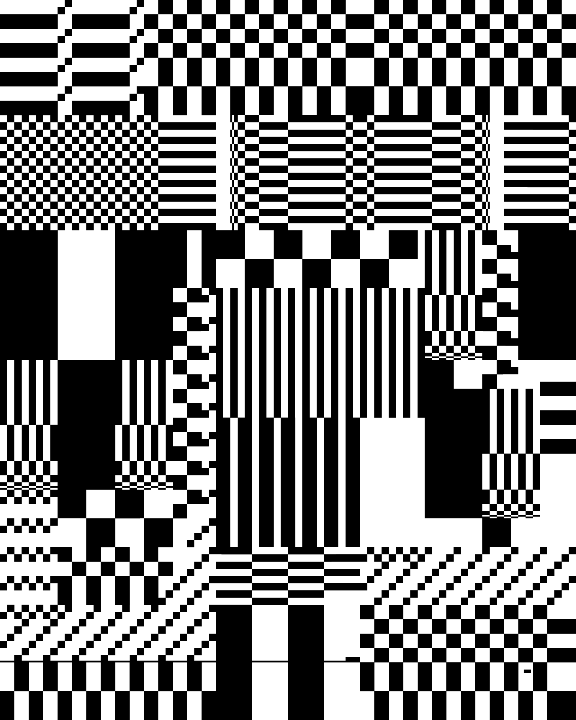 Project "Camouflage"