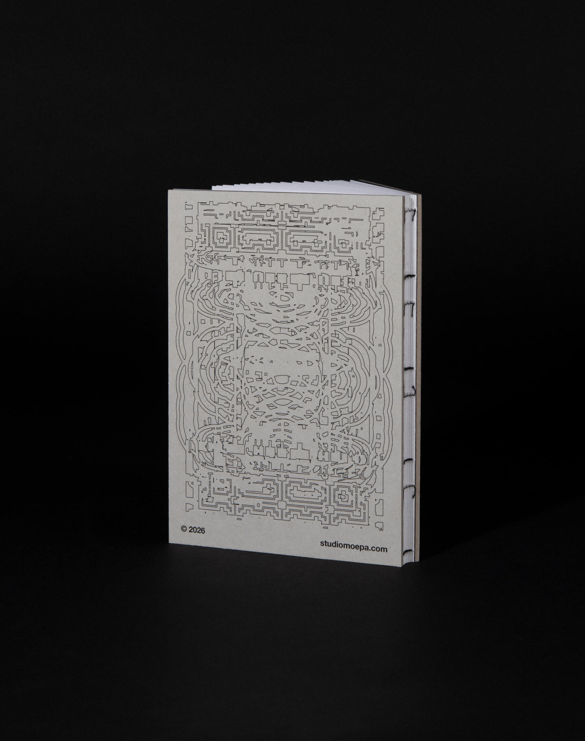 RSF_Book_02